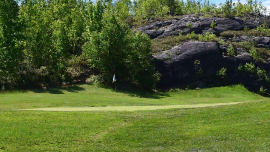 Timberwolf GC