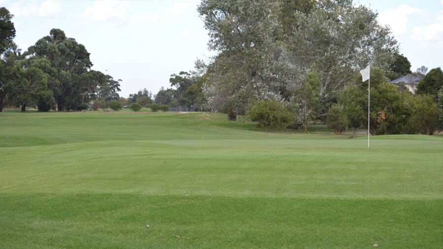Rossdale GC