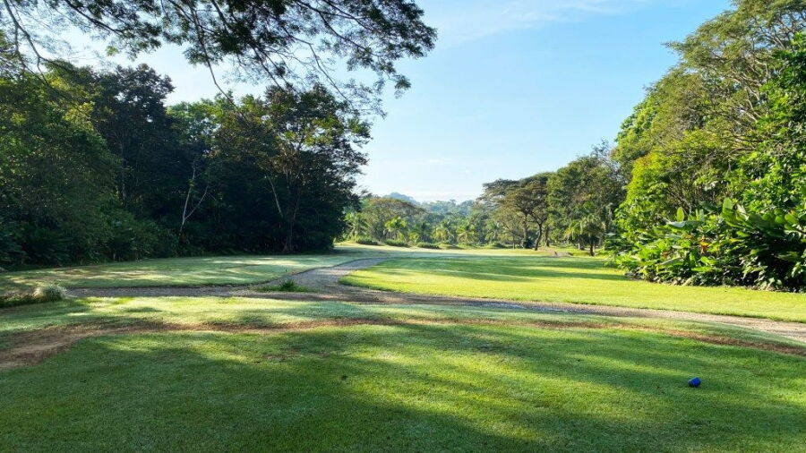 Osa GC: #7