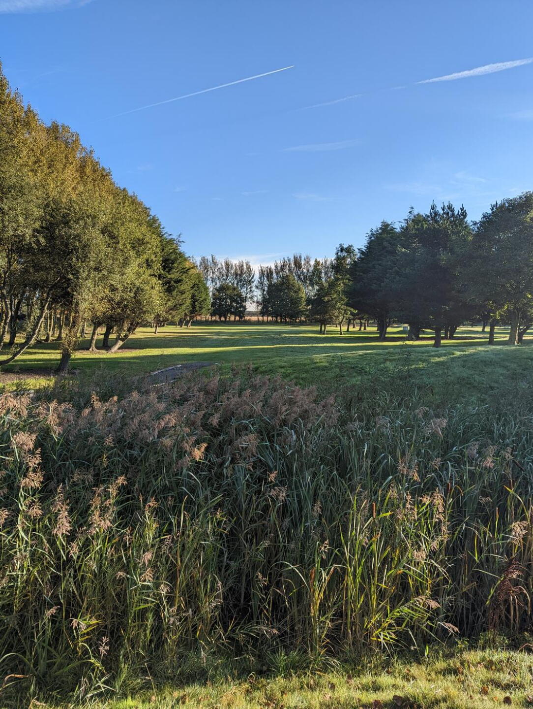 2nd Hole from the Tee (Photo submitted by u6704691 on 09/17/2022)