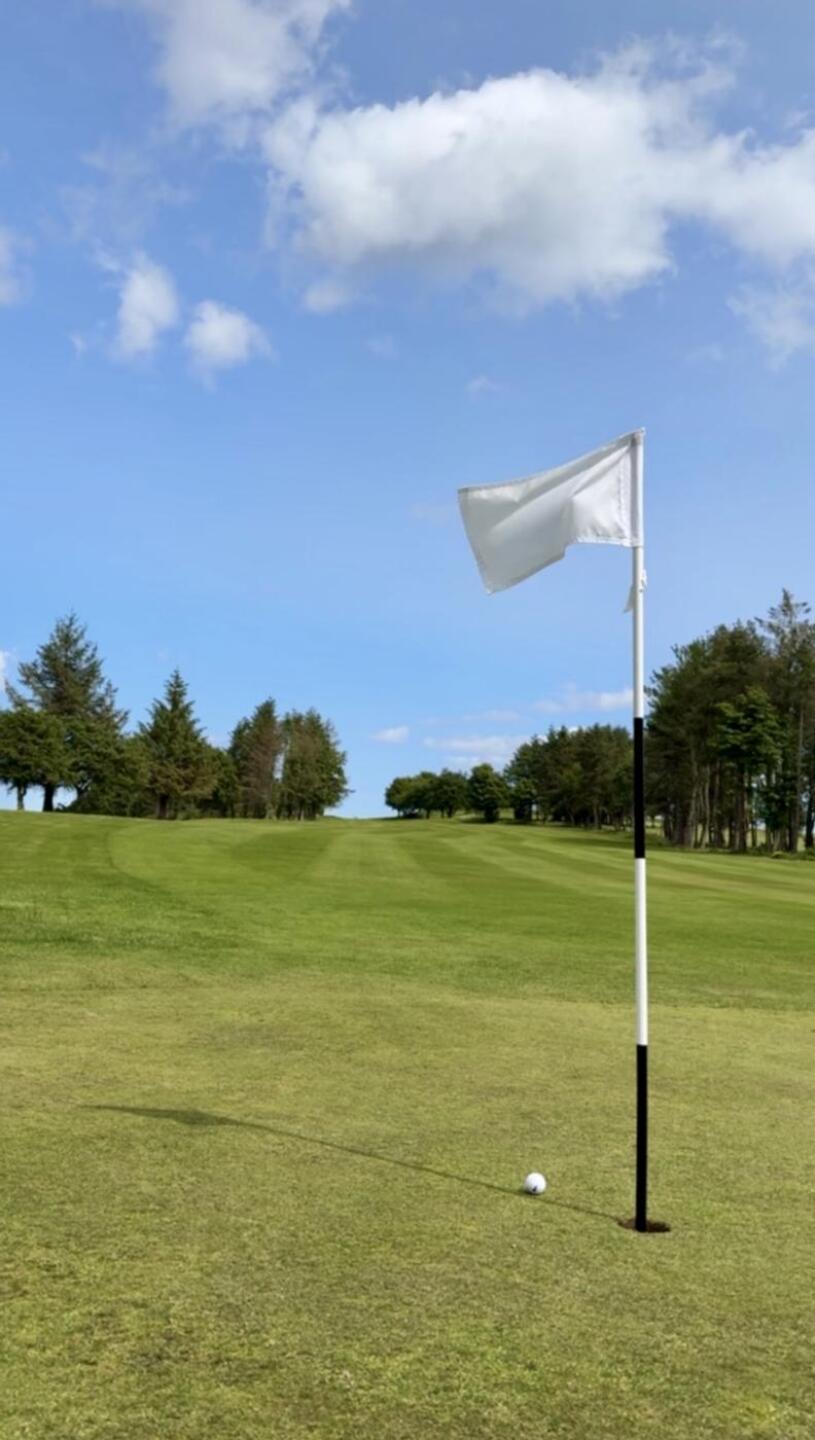 (Photo submitted by tKAx8yPHMpdKUlFdxQqX on 08/11/2025)