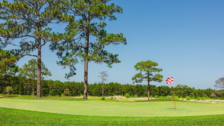 Pine Royale GC