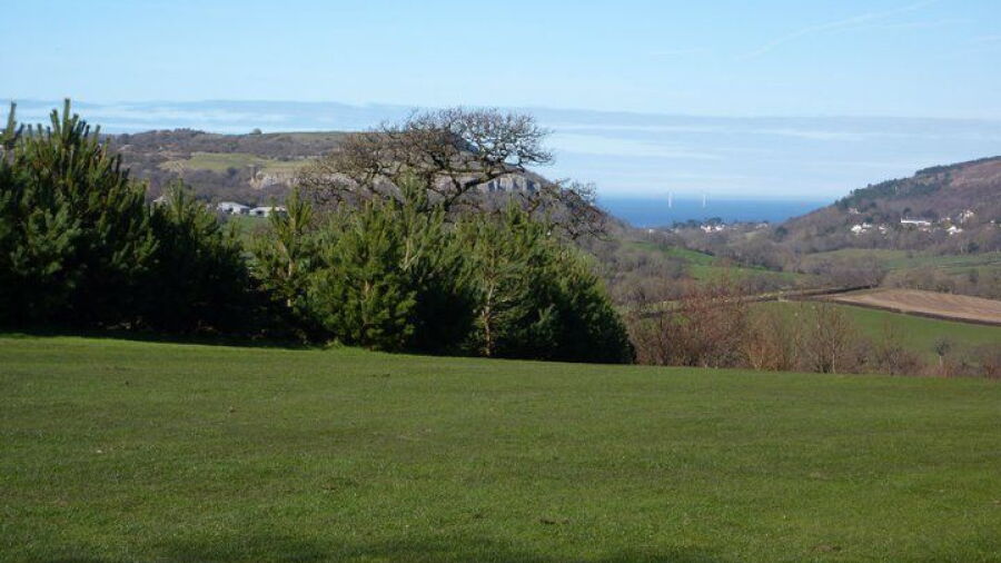 Silver Birch GC: #10