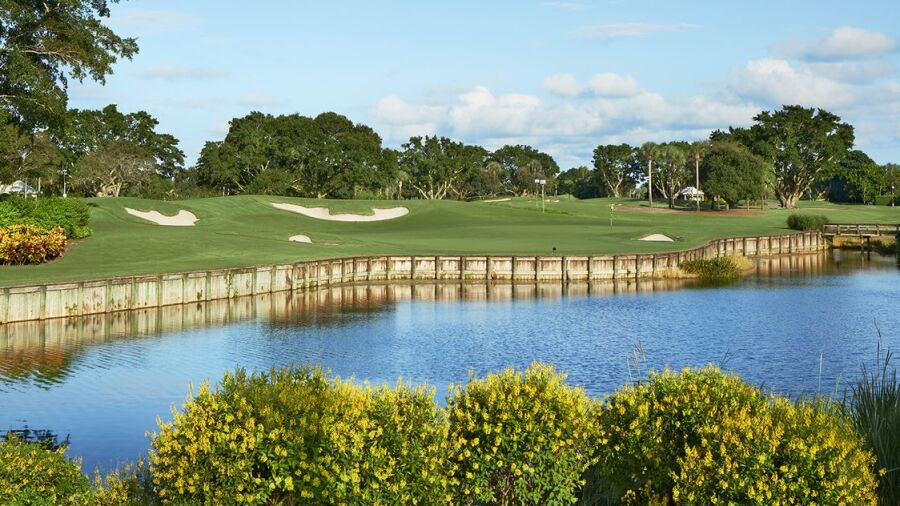 CC of Florida 