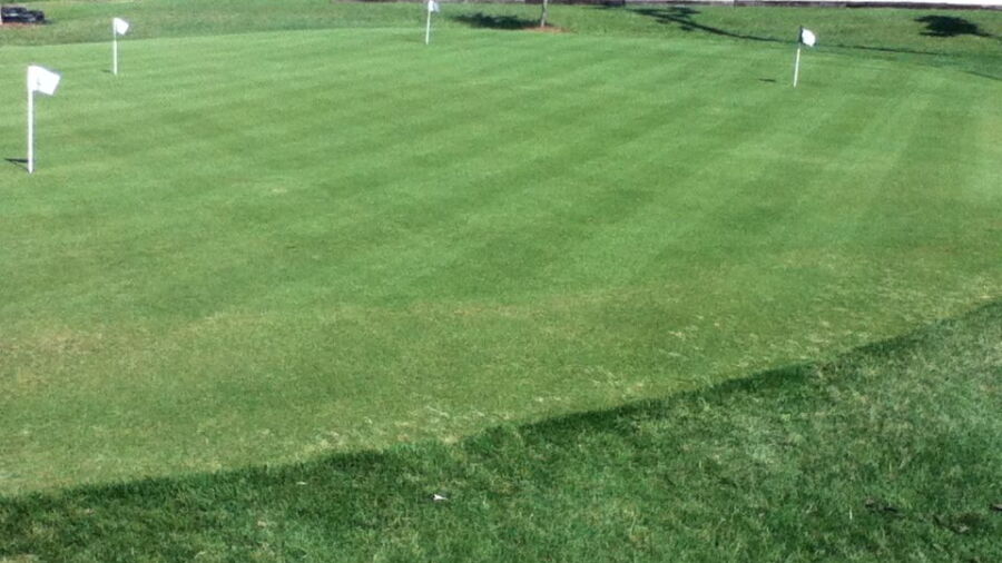 Birdee's Golf Center: Practice area