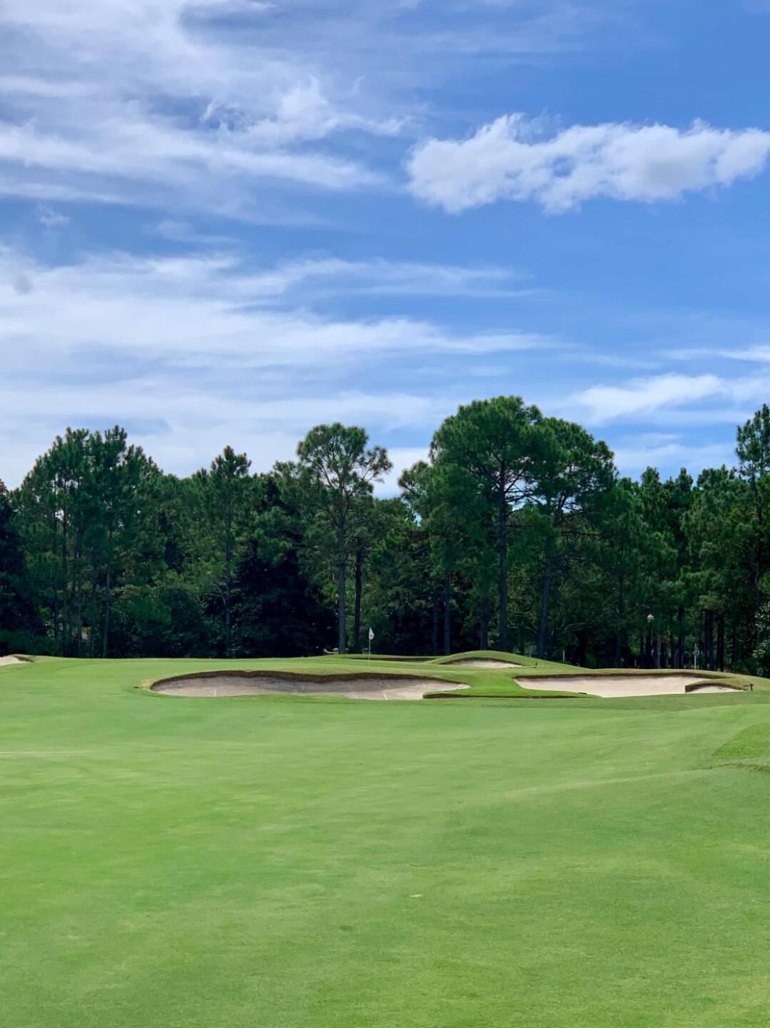 (Photo submitted by MichaelLowe on 09/20/2019)