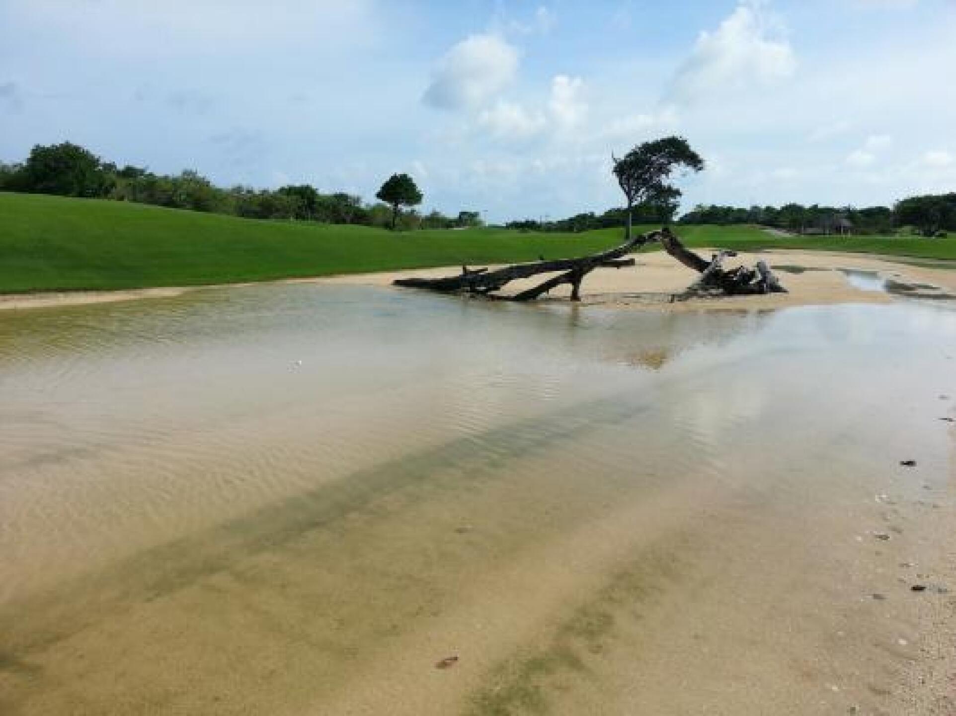 My bad shot... (Photo submitted by Melb305 on 09/08/2014)