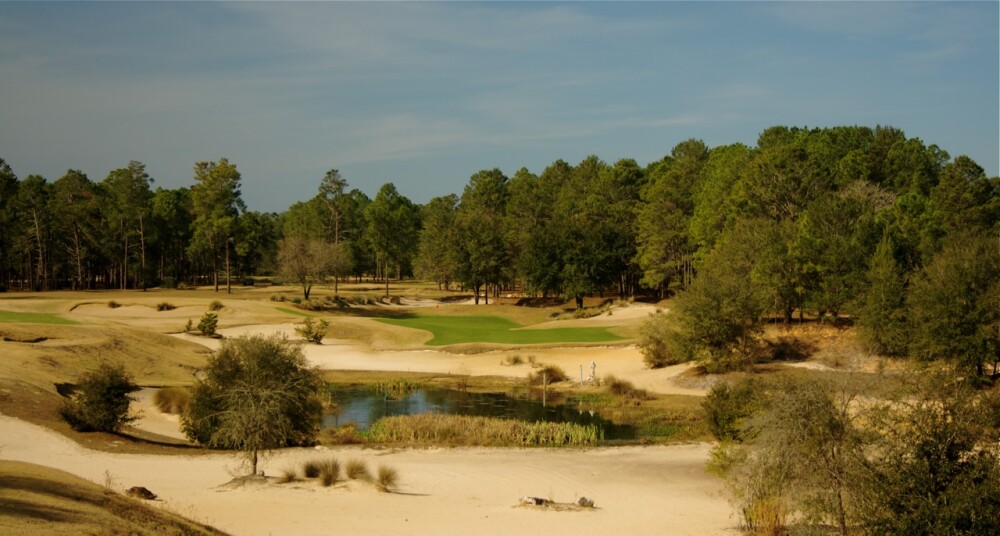 World Woods Golf Club - Pine Barrens Course - hole 15
