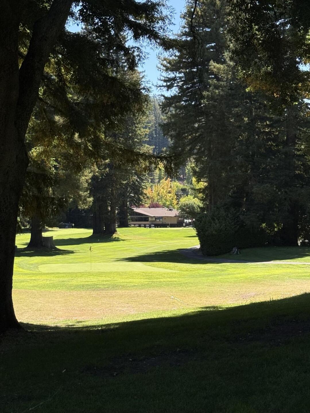 (Photo submitted by 8cYLw3XWUdD9VUOcaDyK on 08/21/2025)