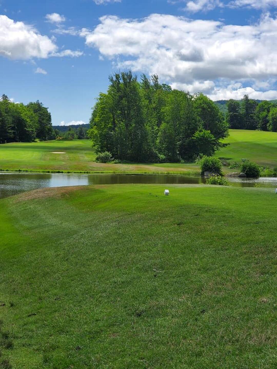 (Photo submitted by u000007635743 on 07/14/2020)