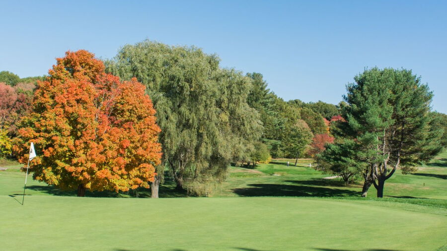 Maynard GC: #3