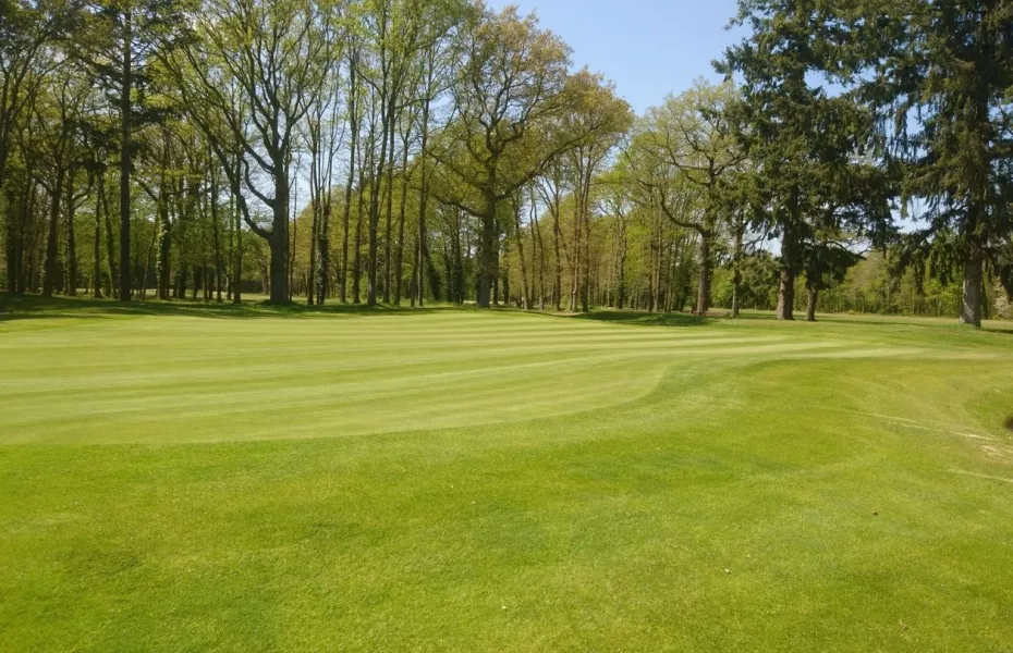 International Club du Lys