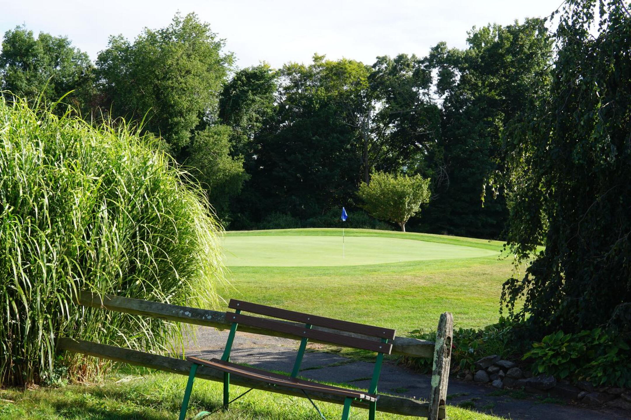 The third green in the late-afternoon of a summer day. (Photo submitted by AptlyLinked on 08/22/2022)