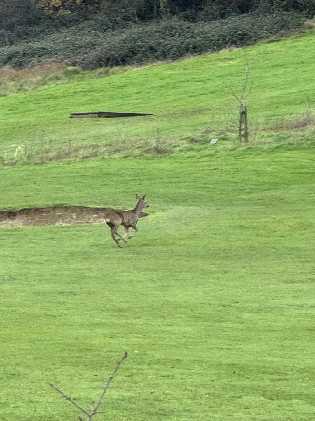 (Photo submitted by Fendtski on 12/05/2025)