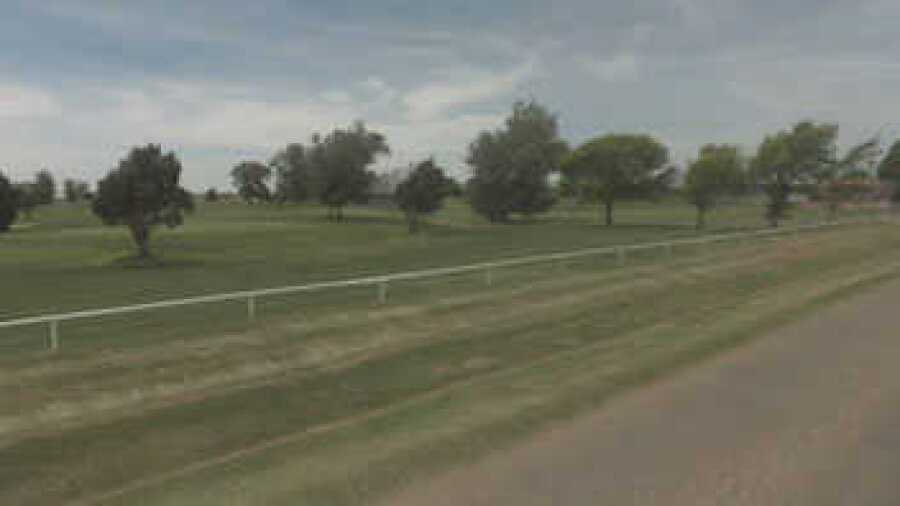Willow Tree GC