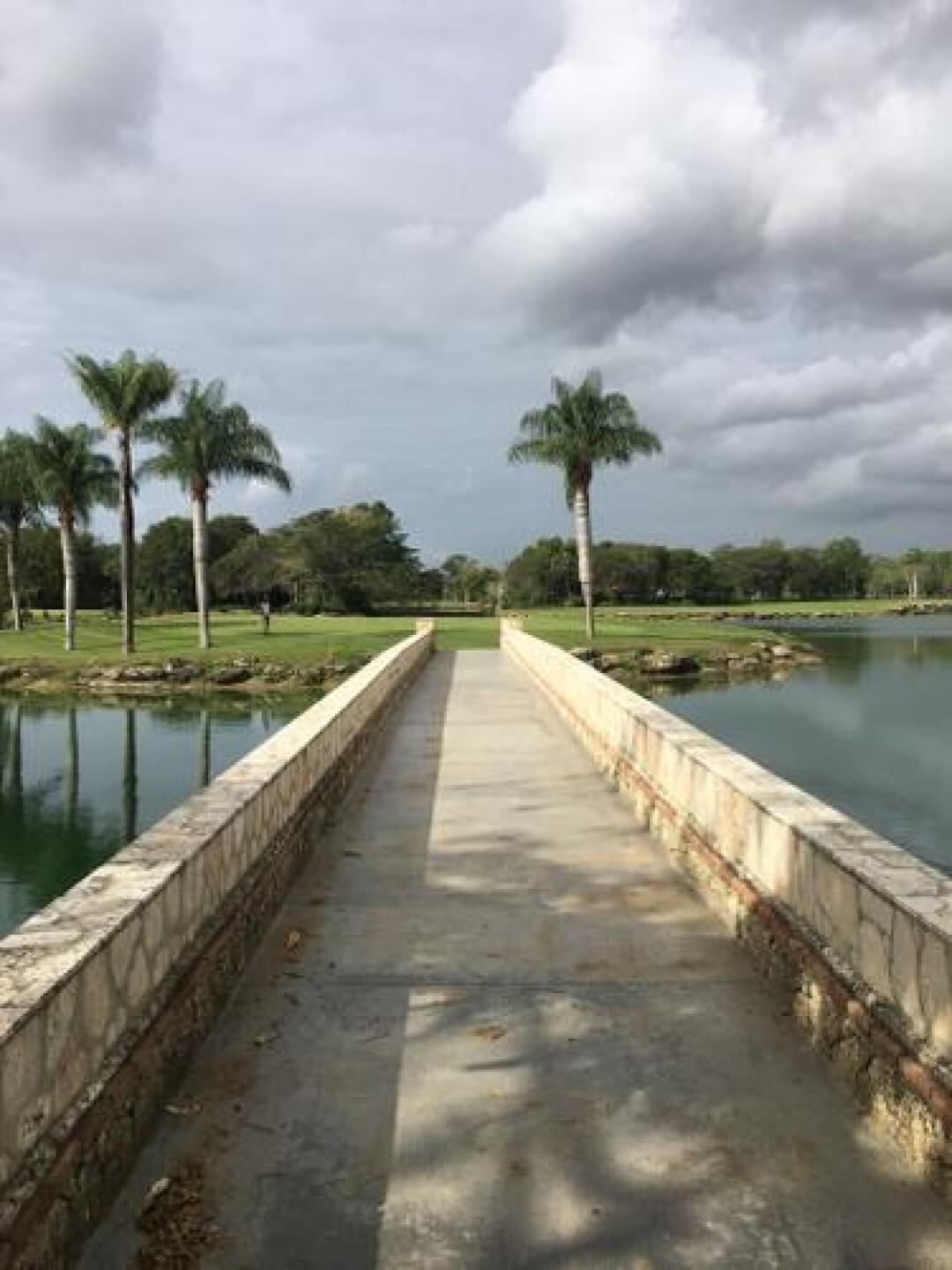 (Photo submitted by odominguez on 11/09/2016)