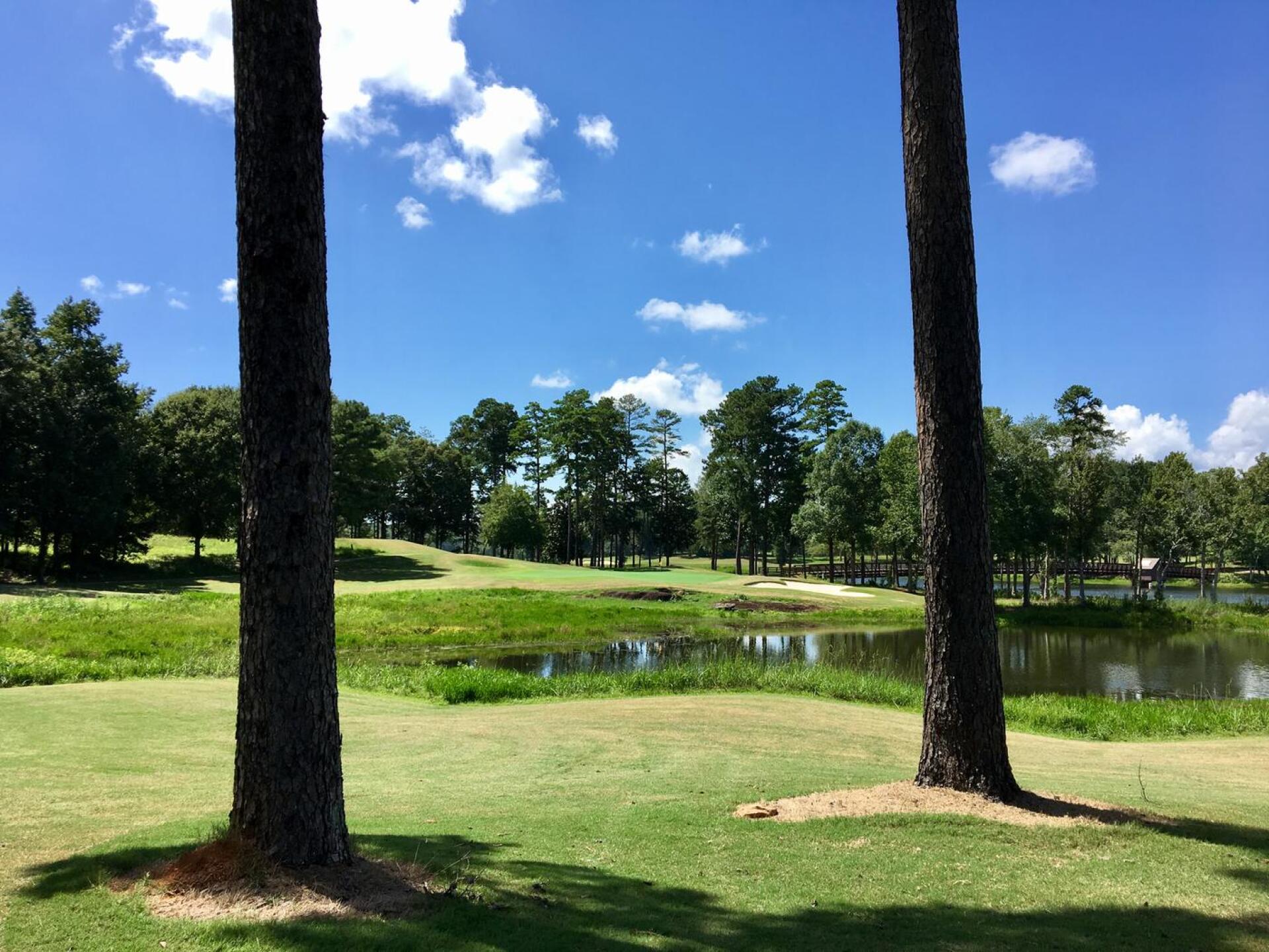 Par-4 16th hole, Lake Course (Photo submitted by BrandonWebb on 08/17/2017)