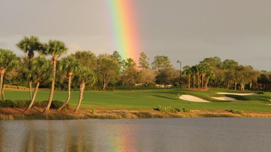 The Club At Mediterra