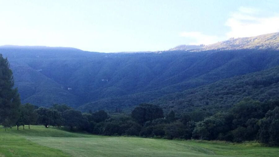 Somerset East GC: #8