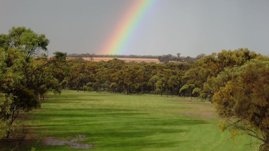Narembeen GC
