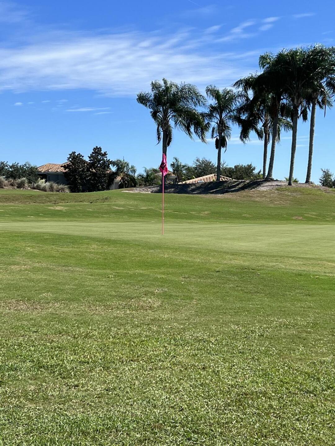 Perfect weather. 80 degrees, a few wind gusts. (Photo submitted by FloridaGolferNow on 10/15/2023)