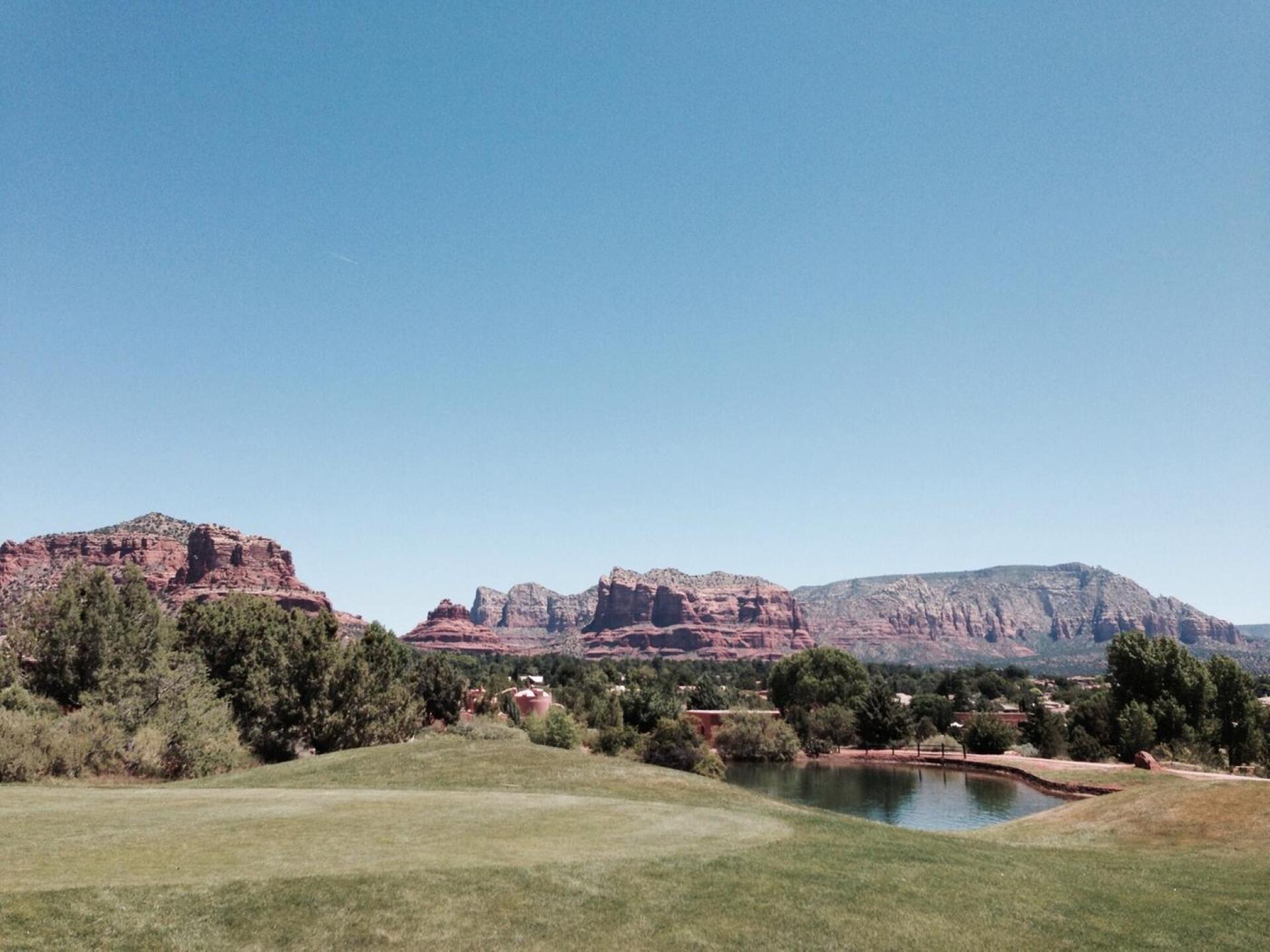 (Photo submitted by CheshireDog on 06/23/2015)