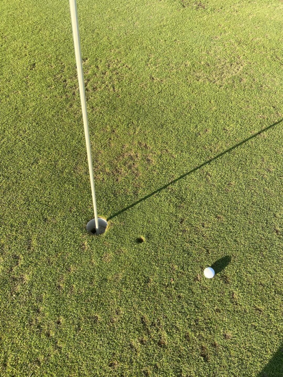 (Photo submitted by smoothb0076 on 10/16/2024)