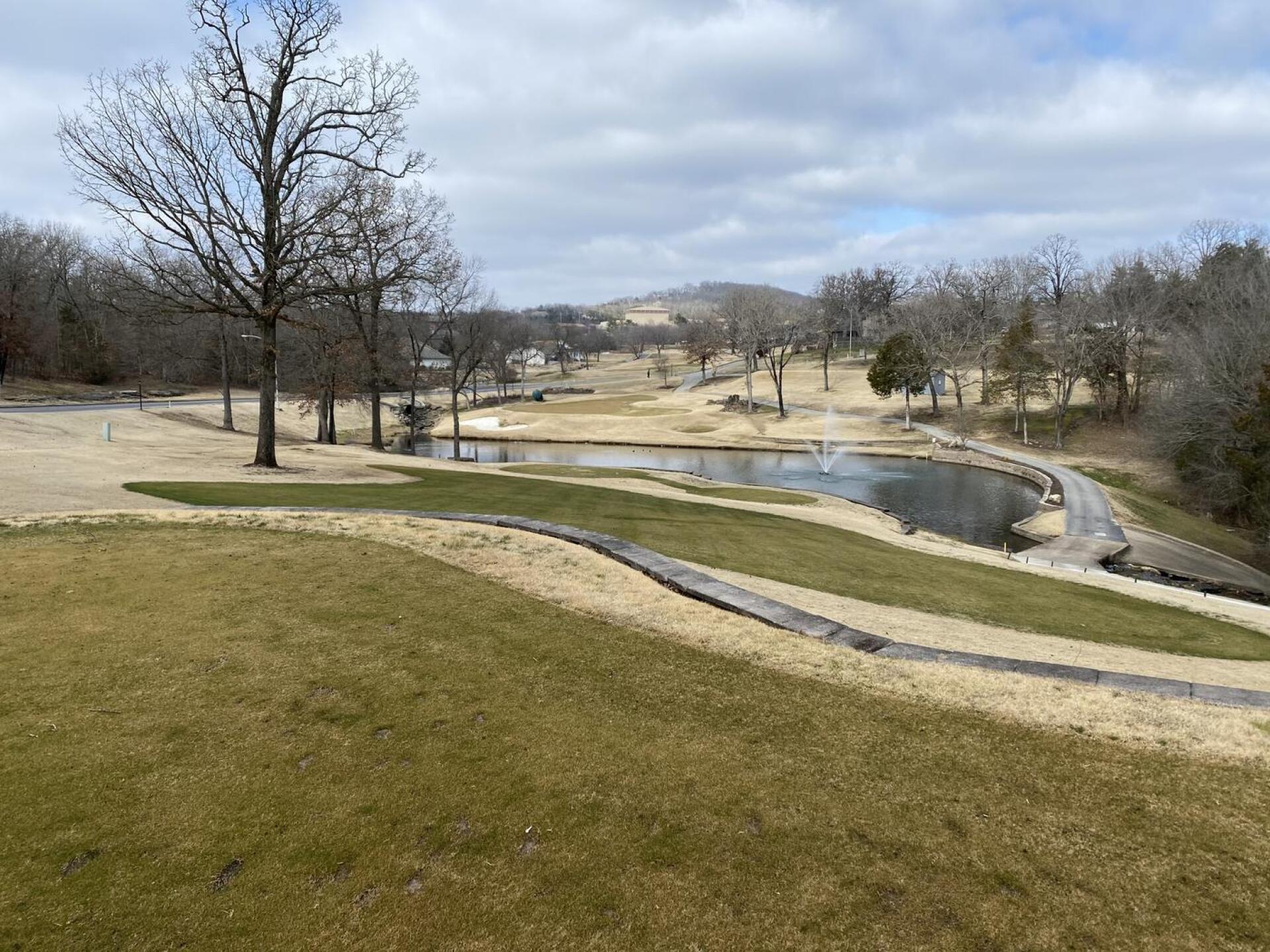 (Photo submitted by u467667995 on 02/02/2021)