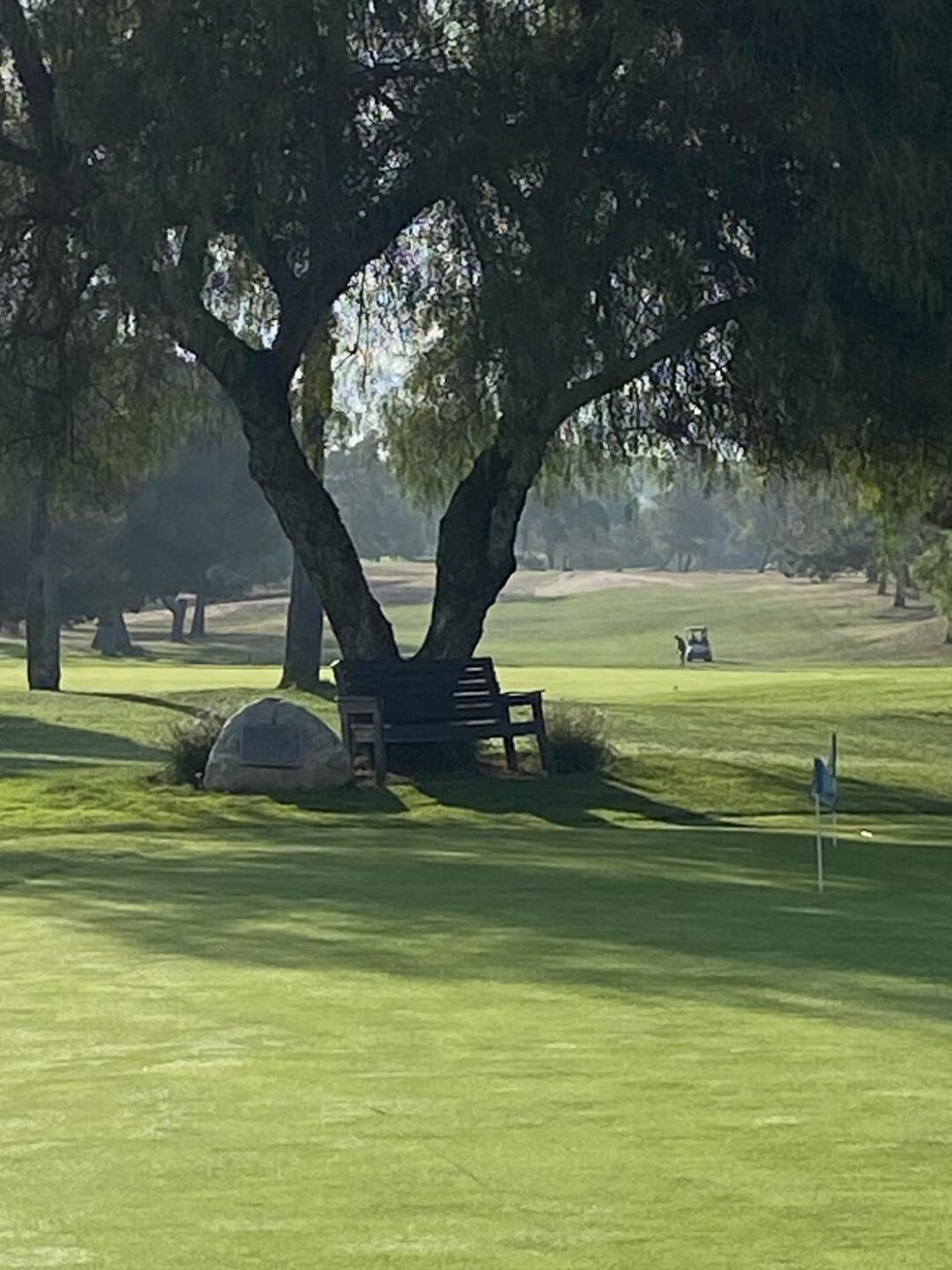 (Photo submitted by u314162711303 on 07/30/2023)