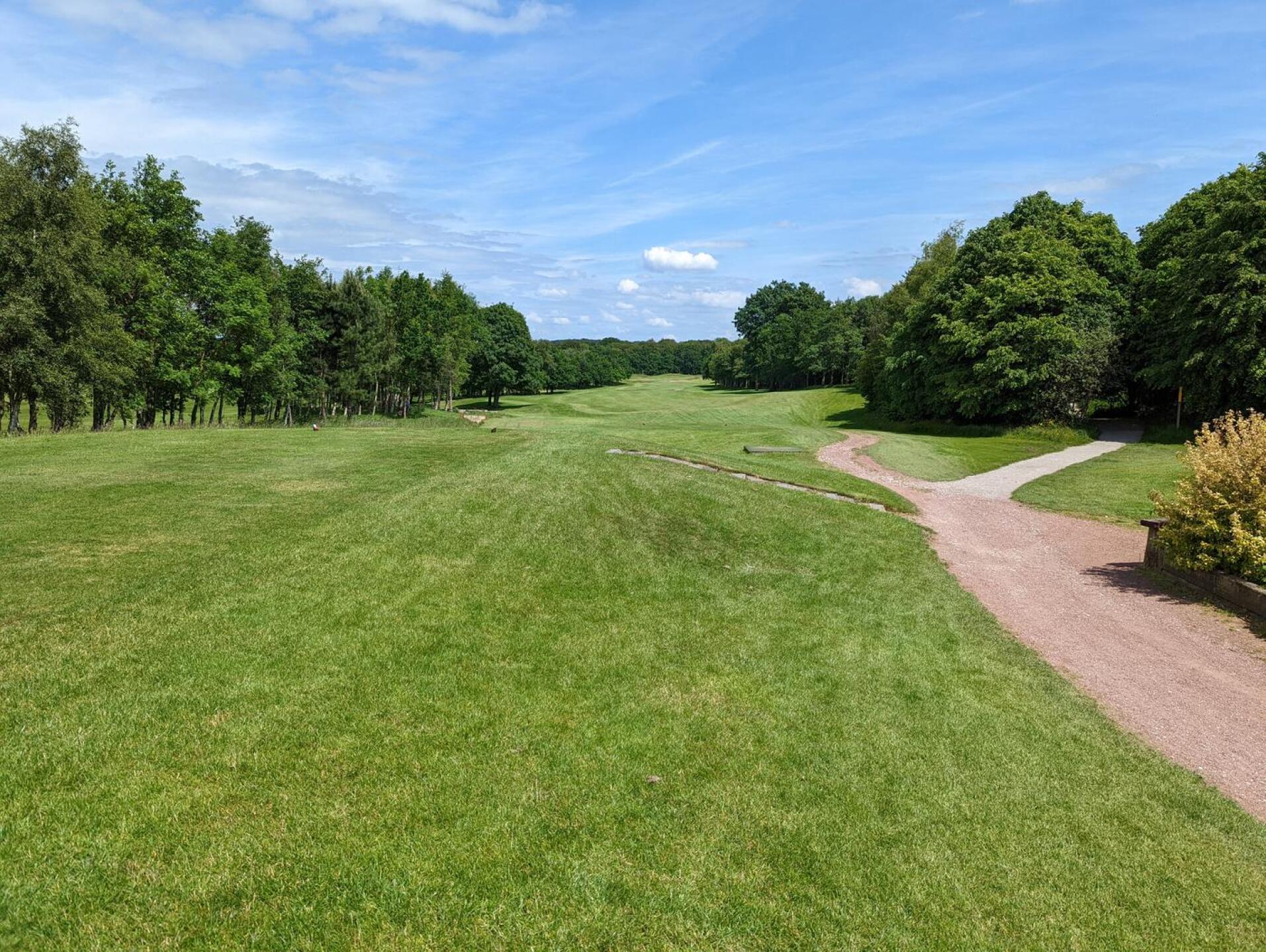 (Photo submitted by Willow2017 on 06/16/2022)