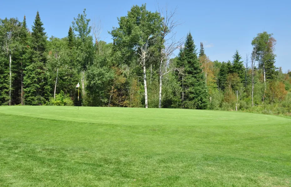 Forest Ridge CC
