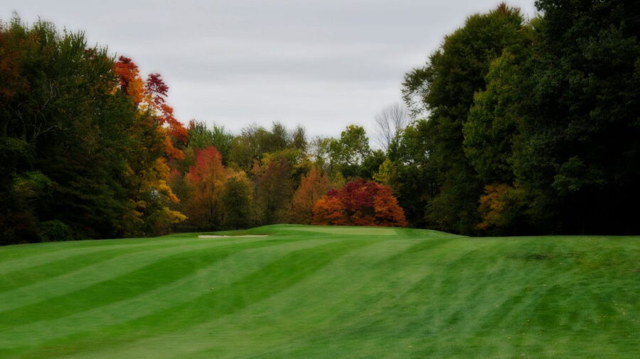 Bella Vista GC