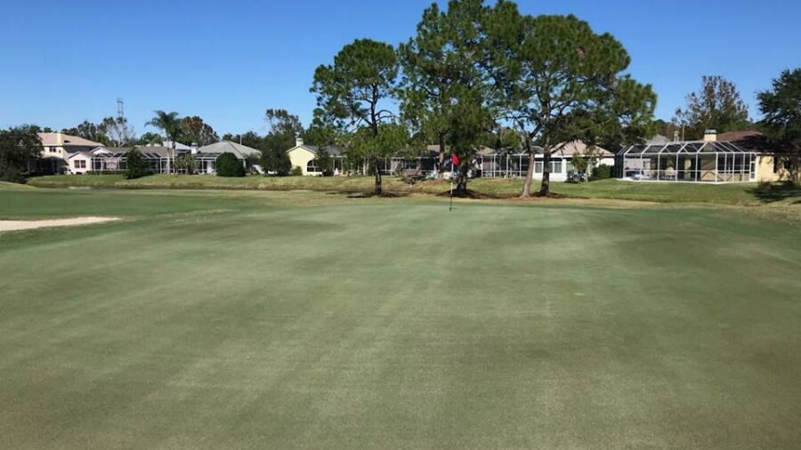 East Lake Woodlands CC