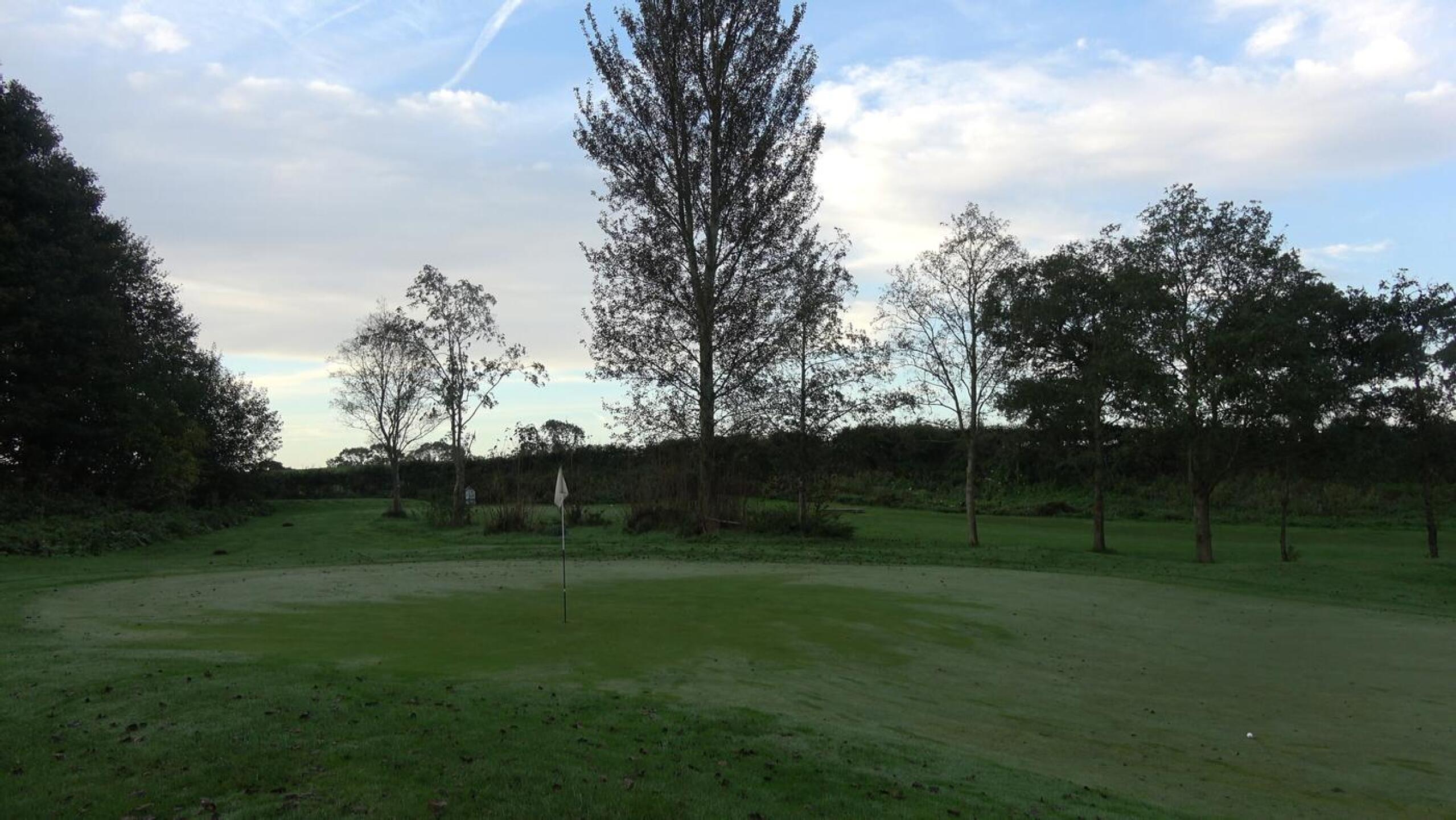 (Photo submitted by t313829560 on 10/12/2023)