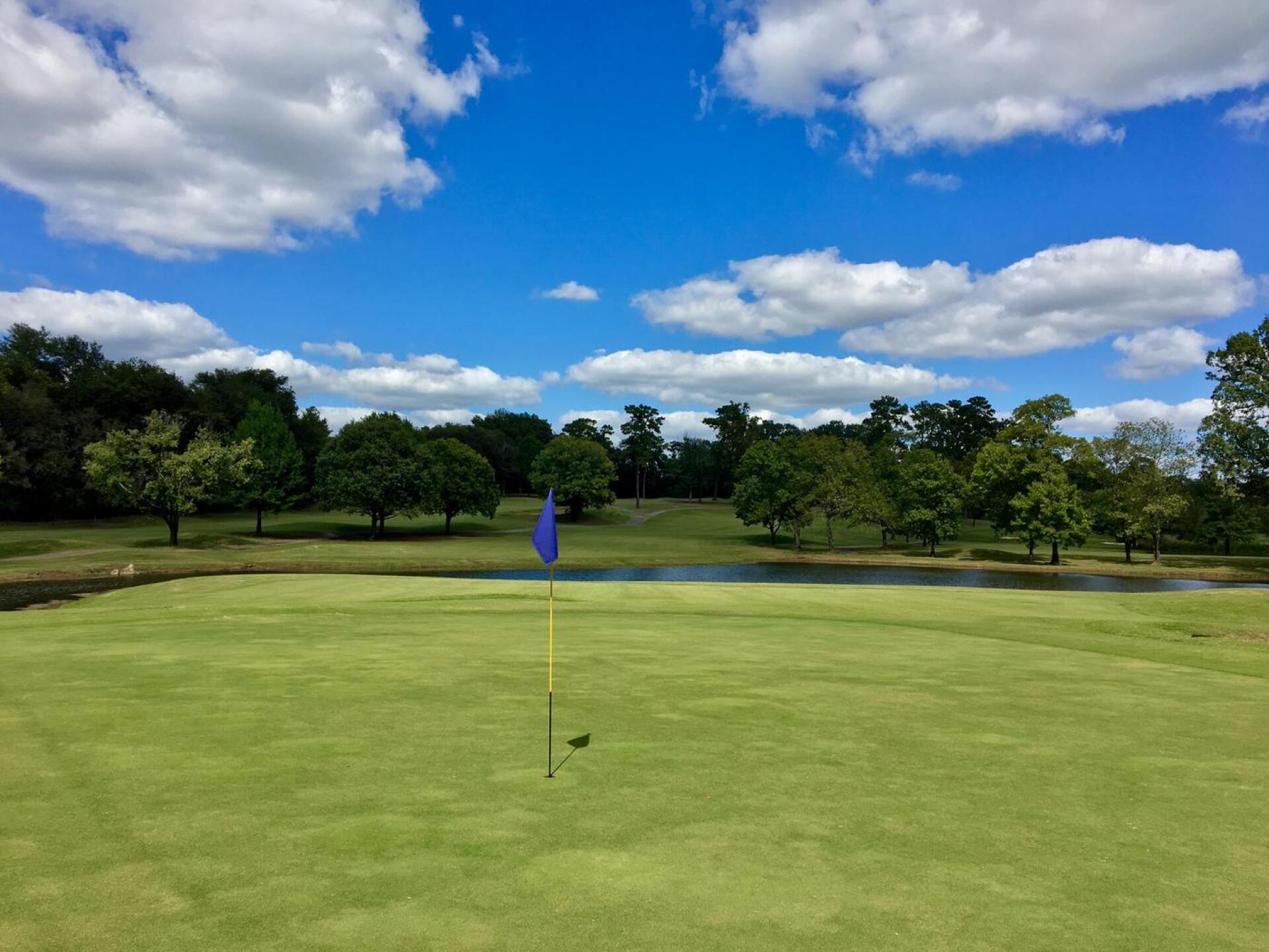 From behind par-4 15th hole (Photo submitted by BrandonWebb on 10/03/2017)