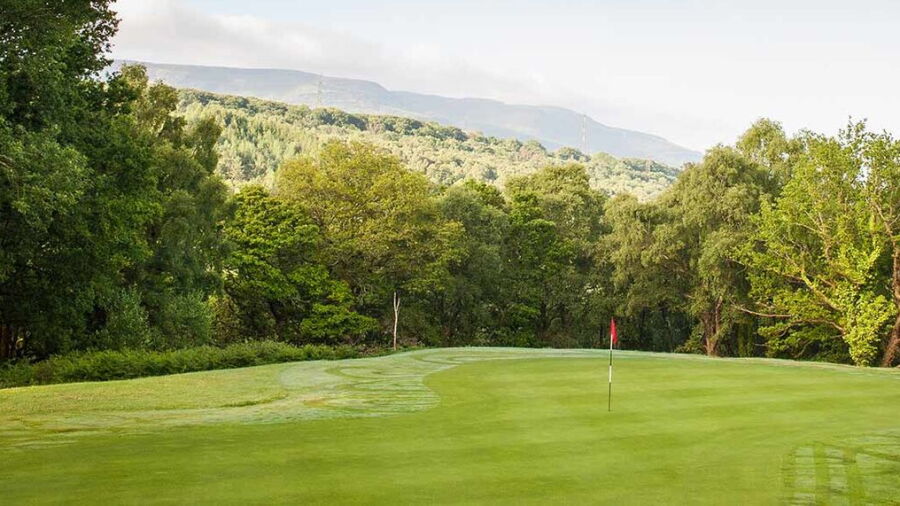 Glynneath GC: #8