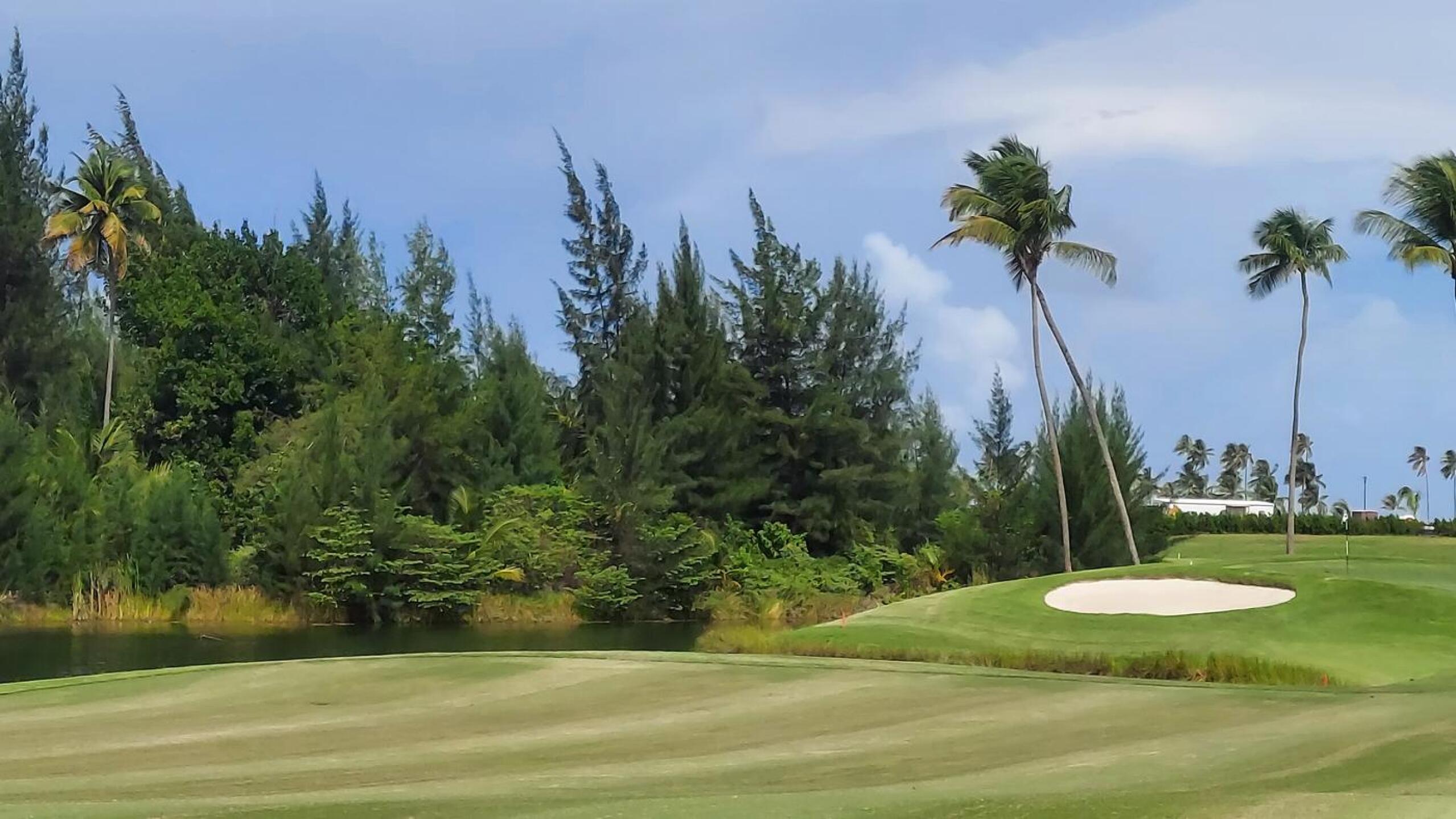 (Photo submitted by Cigala on 01/26/2021)