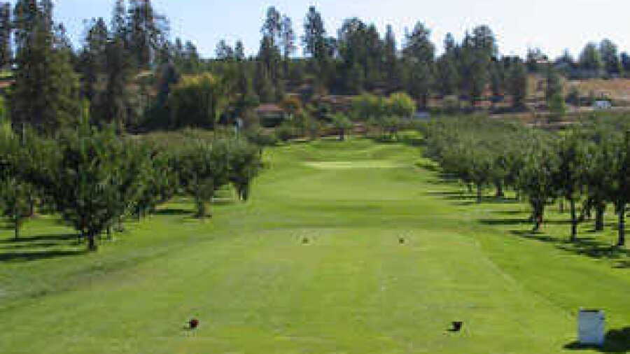 McCulloch Orchard Greens GC: #4