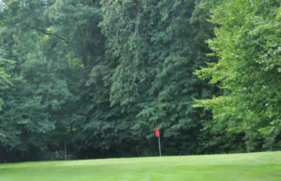 Brundtland GC