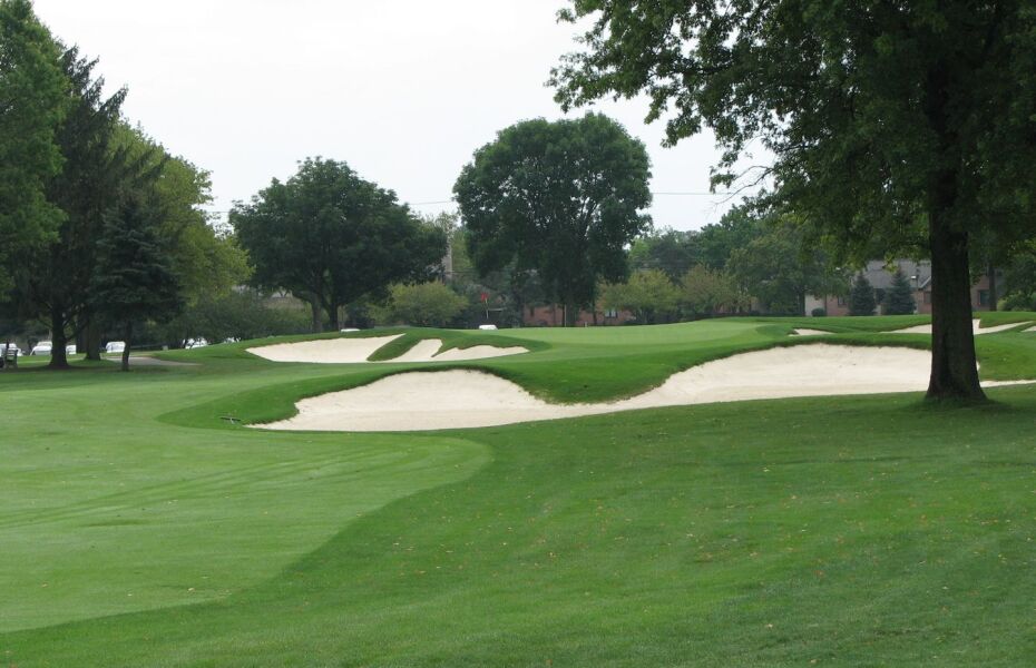 Scarlet at Ohio State University Golf Course in Columbus, Ohio, USA
