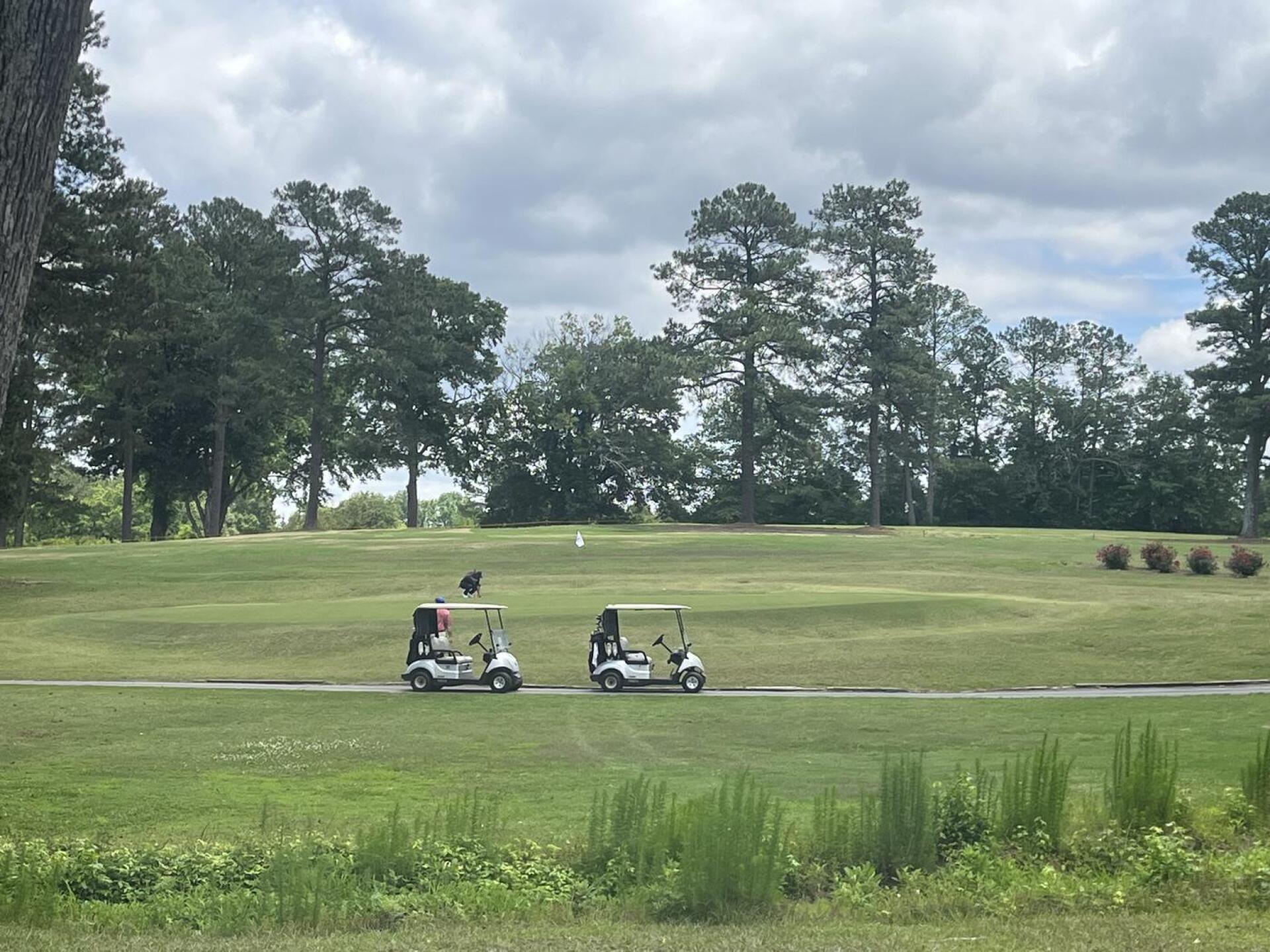 (Photo submitted by u837026190 on 06/03/2023)