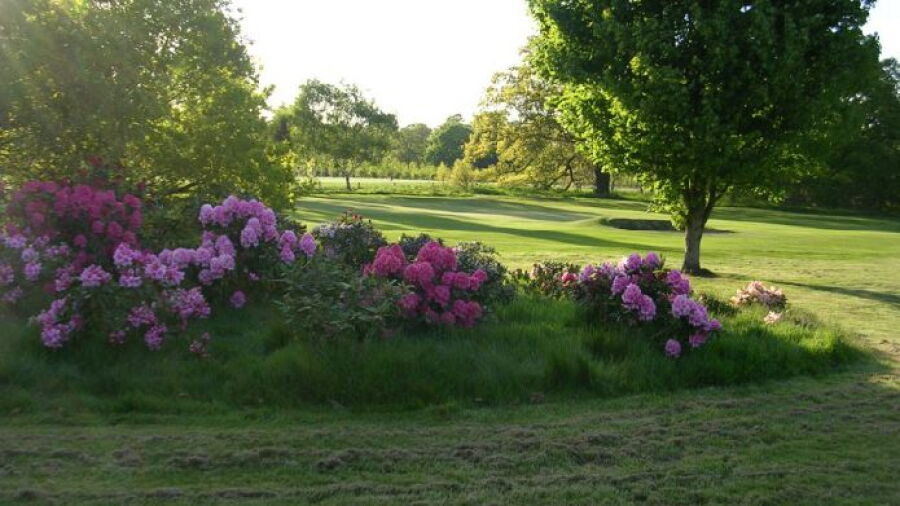 Serlby Park GC: #1