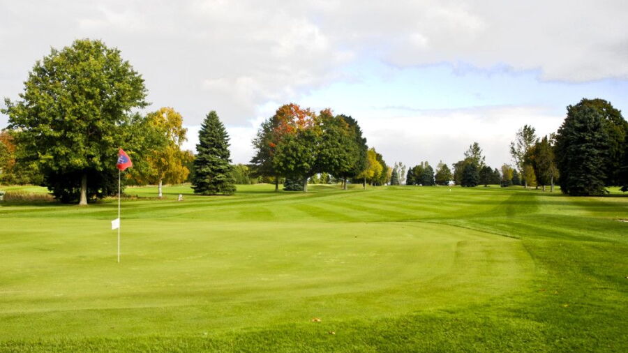 Old Channel Trail GC - Meadow: #8