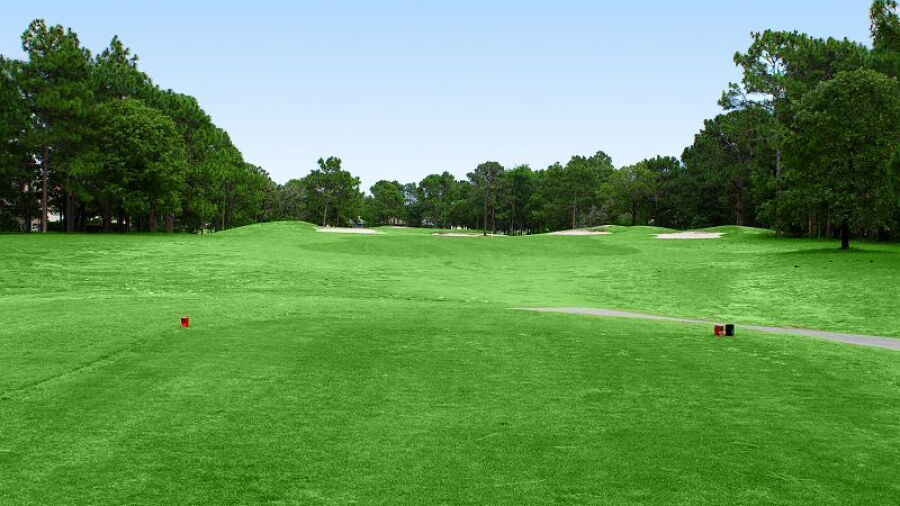 Silverthorn CC: #13