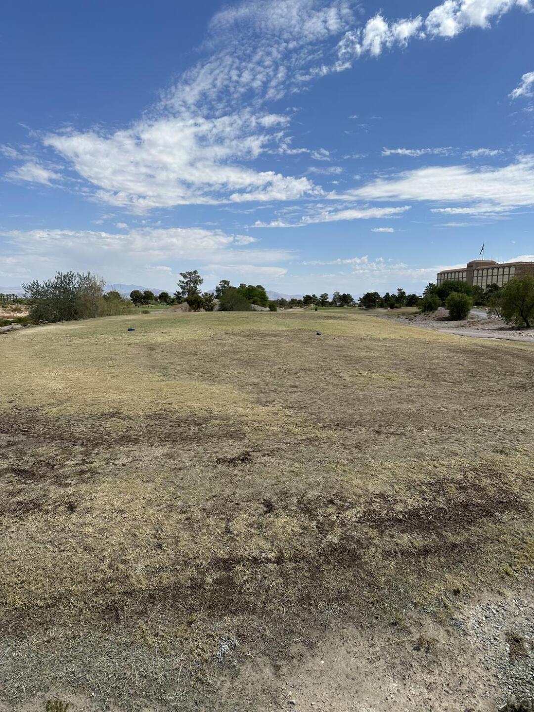 (Photo submitted by JakeNorris83 on 08/30/2024)