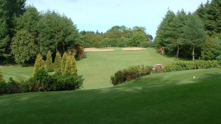 A bunker lined green