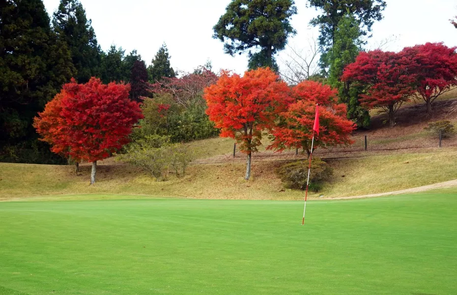Kannami GC