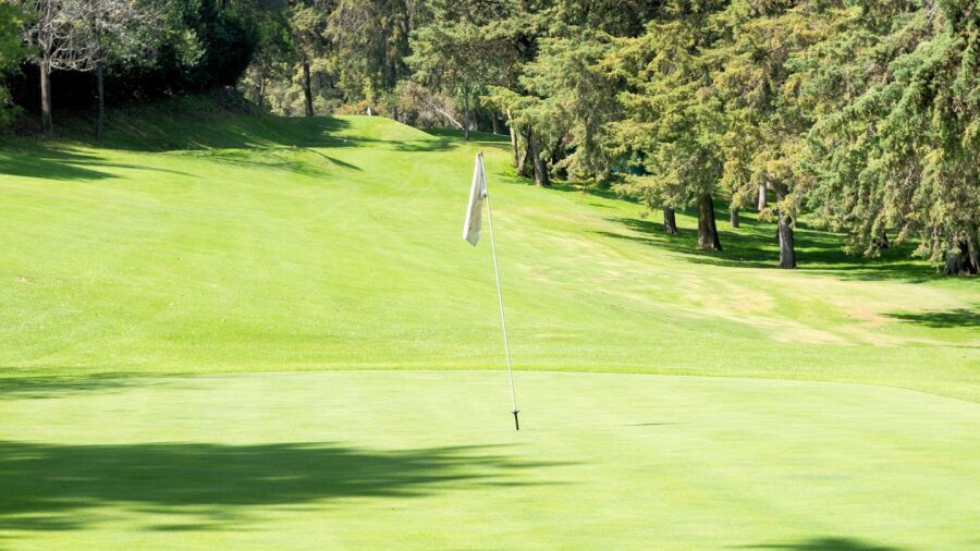 Bellavista GCC - Executive