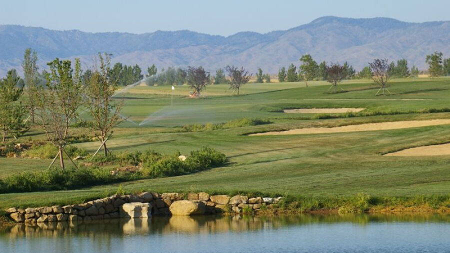 Falcon Crest GC - Freedom