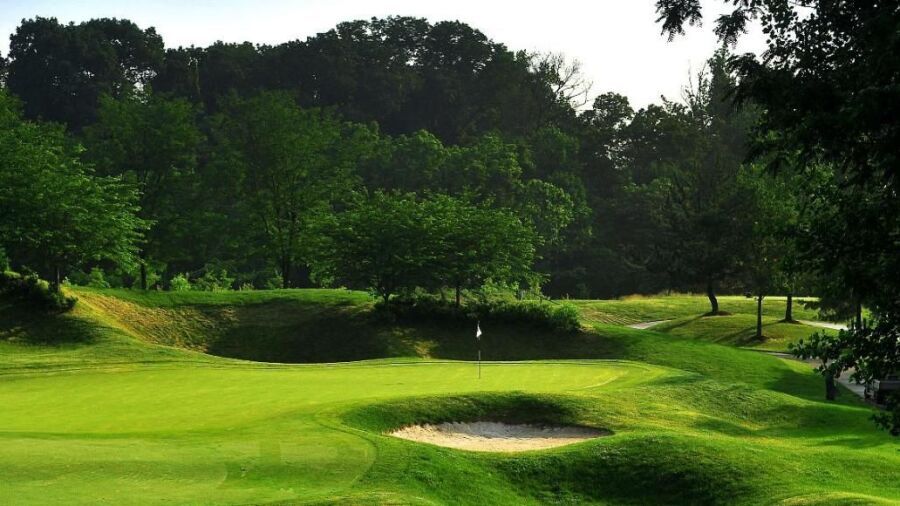 P.B. Dye GC: #7